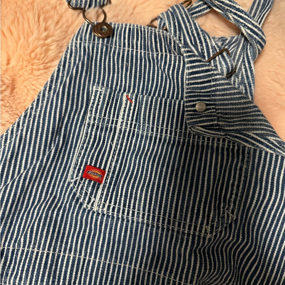 DICKIES striped overalls